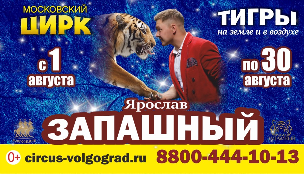 Тигры на земле и в воздухе